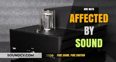 How Do Sounds Impact Nats? Exploring the Effects of Noise