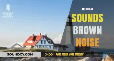 Ocean Sounds and Brown Noise: Unraveling the Calming Connection