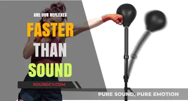 How Fast Are Our Reflexes Compared to Sound?