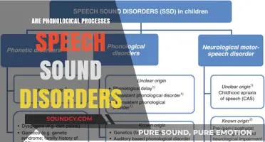Phonological Processes: Speech Sound Disorders Explained