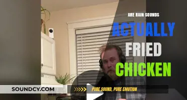 Rain Sounds or Fried Chicken: What's the Deal?
