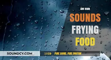 Rain Sounds and Frying Food: Unraveling the Unexpected Connection