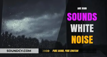 Rain Sounds as White Noise: Relaxation or Coincidence?