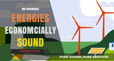 Renewable Energy Economics: Cost-Effective Solutions for a Sustainable Future