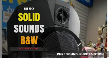 Rock-Solid Sounds: B&W's Audio Revolution