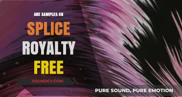Splice Samples: Are They Royalty-Free?