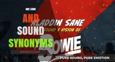 Sane vs. Sound: Unraveling the Nuances of These Often-Confused Terms