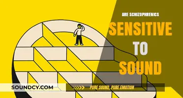 Sound Sensitivity in Schizophrenia: Unraveling Auditory Overload Challenges