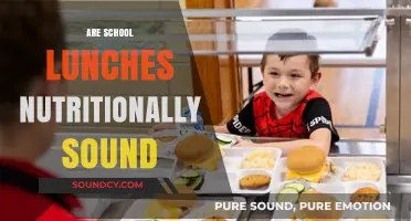 Are School Lunches Nutritionally Sound? Examining Health and Student Wellness