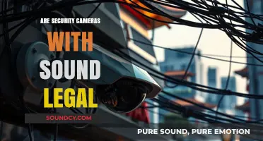 Security Cameras: Legal to Record Audio?