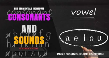 What Are Segmentals? Understanding Individual Speech Sounds