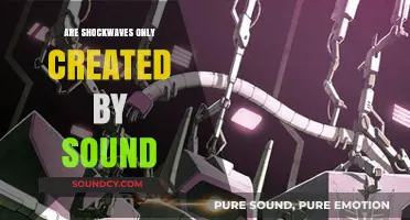 Shockwaves: Beyond the Sonic Boom
