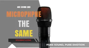 Microphones: Capturing Sound for Us
