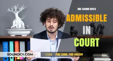 Sound Bites: Admissible Court Evidence?