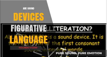 Exploring Sound Devices: Figurative Language or Literary Technique?