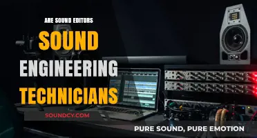 Sound Editors: Engineering Technicians or Not?
