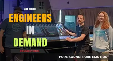 Rising Demand for Sound Engineers: Opportunities and Career Growth Trends