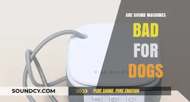 Sound Machines: Are They Safe for Dogs?