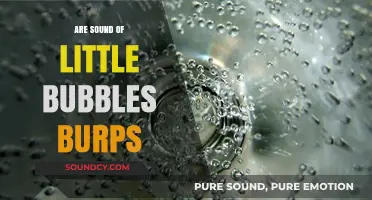 Little Bubbles, Big Burps: What's That Sound?