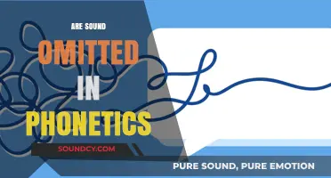 Exploring Phonetics: Are Certain Sounds Truly Omitted in Speech?
