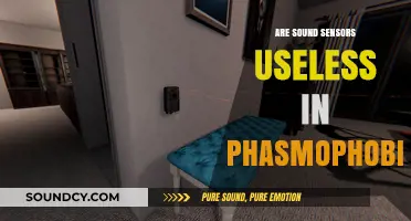 Phasmophobia: Sound Sensors, Worthless or Essential?