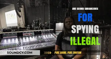 Sound Enhancers: Spy Tools or Legal Devices?