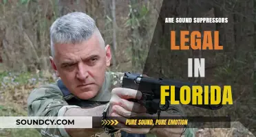 Florida's Take on Suppressors: Legal or Not?