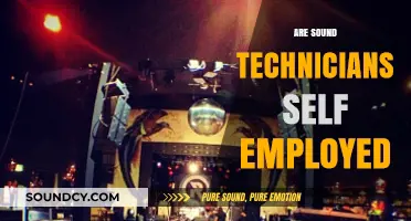 Are Sound Technicians Self-Employed? Exploring Freelance Audio Careers