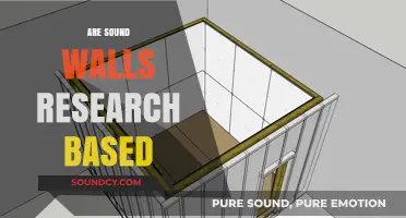 Sound Walls: Uncovering the Research Behind Their Effectiveness in Education