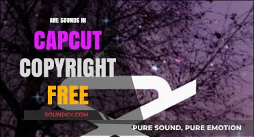 CapCut Sounds: Are They Copyright Free?
