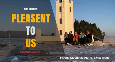 Exploring the Science Behind Why Certain Sounds Delight Our Ears