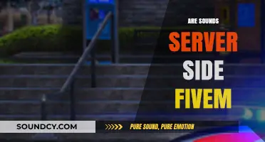 Are Sounds Server-Side in FiveM? A Comprehensive Guide