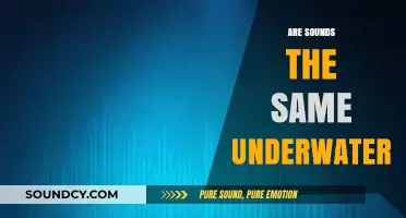Do Sounds Travel Differently Underwater? Exploring Aquatic Acoustics and Perception