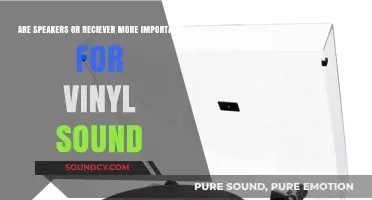 Speakers vs. Receiver: Which Enhances Vinyl Sound Quality More?
