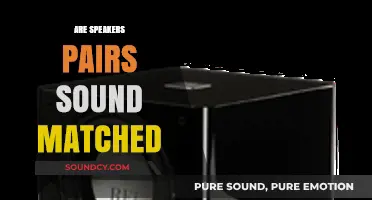 Are Speaker Pairs Sound Matched? Understanding Audio Consistency and Quality