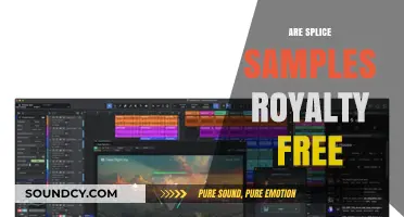 Are Splice Samples Royalty-Free? Understanding Usage Rights and Licensing