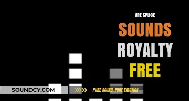 Are Splice Sounds Royalty-Free? Understanding Usage Rights and Licensing