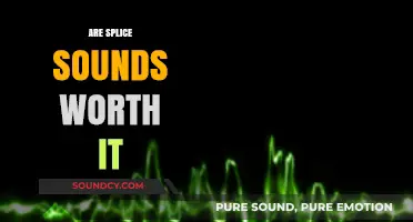 Are Splice Sounds Worth It? Pros, Cons, and Value for Producers