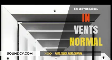 Strange Noises in Vents: What's Normal and What's Not?