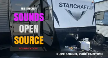 Are StarCraft Sounds Open Source? Exploring Legal and Creative Boundaries