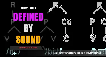 Exploring Syllable Formation: Are They Defined by Sound or Structure?