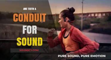 How Teeth Conduct Sound: The Science Explained