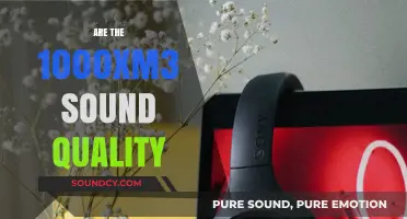Sony 1000XM3 Sound Quality: A Detailed Review and Analysis