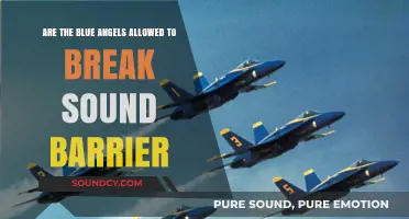 Can the Blue Angels Legally Break the Sound Barrier?