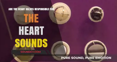 Heart Valves and Sounds: Unraveling the Cardiac Symphony's Origin