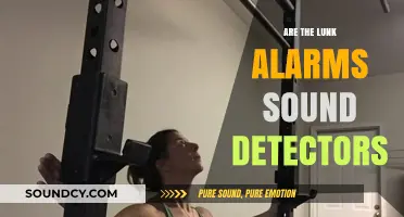 Lunk Alarms: Sound Detectors or Just Noisy Gym Equipment?