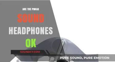 Pimax Sound Headphones: Are They Worth It?