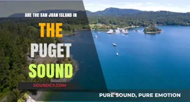 San Juan Islands: Are They Truly Part of Puget Sound?
