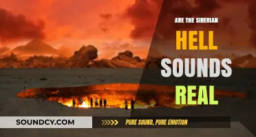 Mysterious Siberian Sounds: Fact or Fiction?