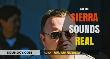 Unraveling the Mystery: Are the Sierra Sounds Real or Hoax?